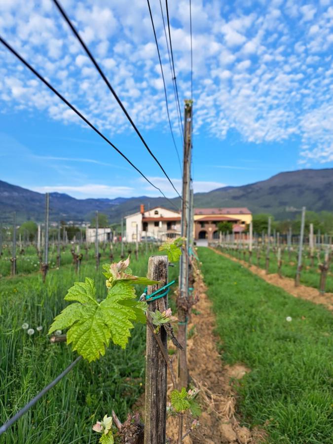 Posestvo Rouna - Winery And Apartments 维帕瓦 外观 照片