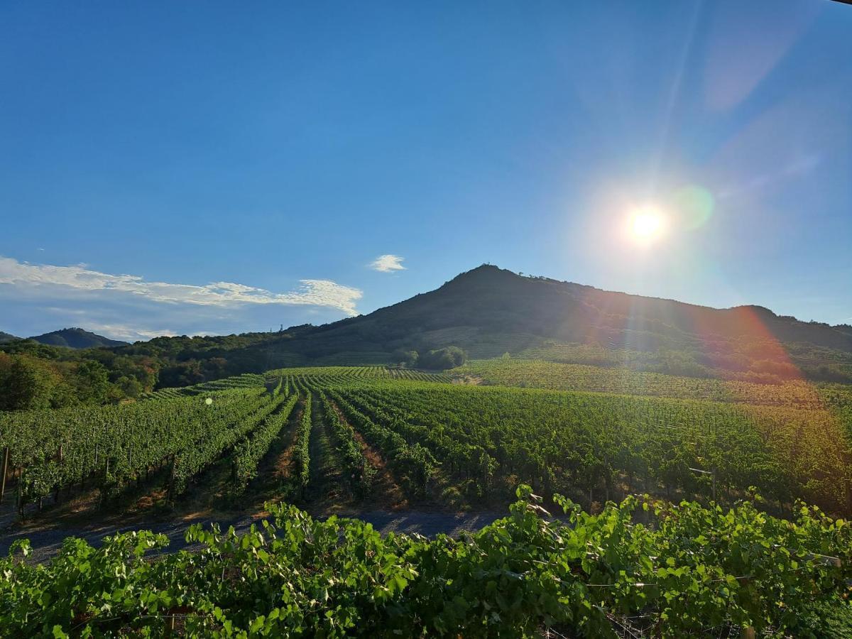 Posestvo Rouna - Winery And Apartments 维帕瓦 外观 照片